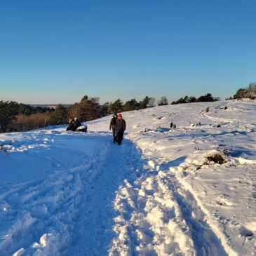 Verktumsnytt Februari 2026